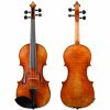 Instruments Holstein Professional Violins | Holstein Workshop Amati Violin