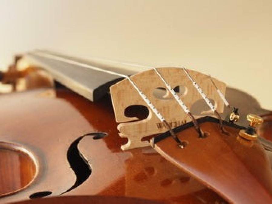 Strings Warchal G Strings | Warchal Amber Violin G String