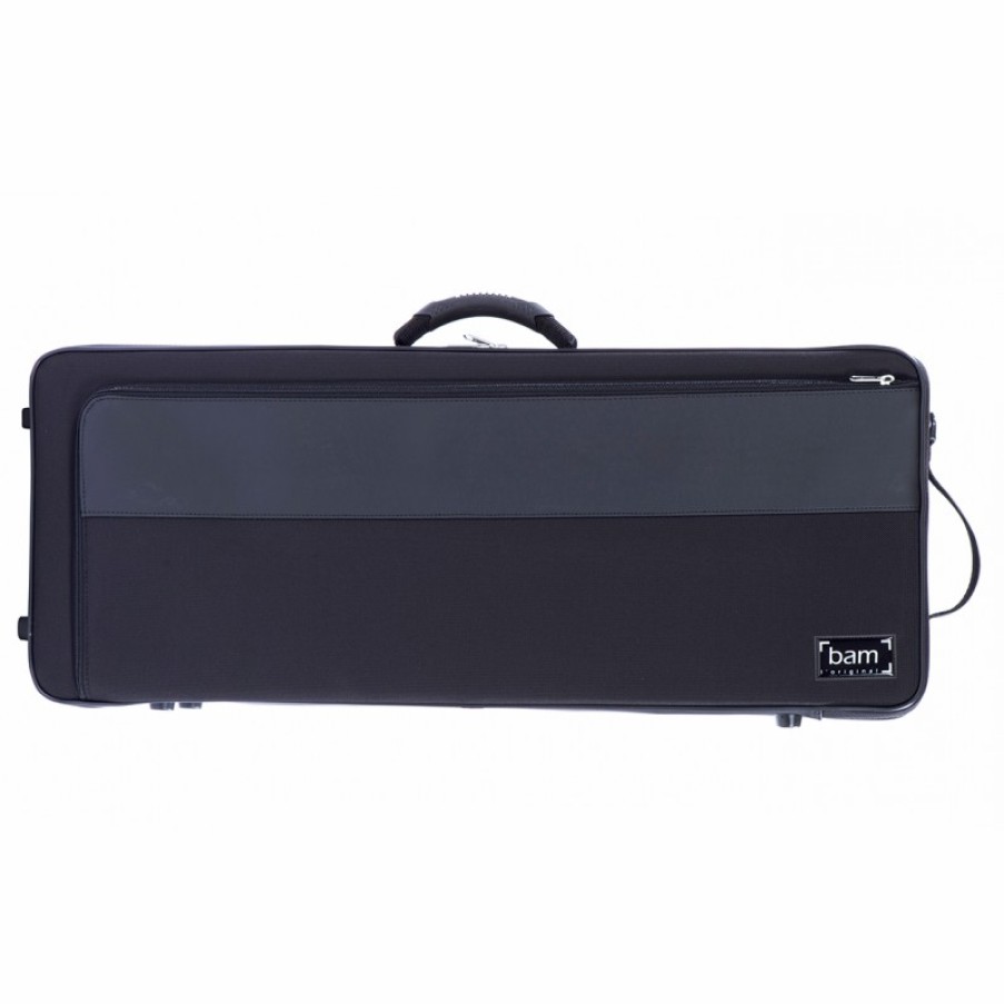 Cases Bam Cases Oblong Cases | Bam Artisto Viola Case