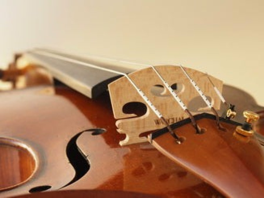 Strings Warchal A Strings | Warchal Amber Violin A String