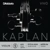 Strings D'Addario D Strings | D'Addario Kaplan Vivo Violin G String