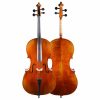 Instruments Fiddlerman Intermediate Cellos | Fiddlerman Master Cello Outfit