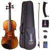 Instruments Tower Strings Beginner Violins | Tower Strings Legend Violin Outfit