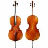 Instruments Holstein Professional Cellos | Holstein Bench Guarneri Cello