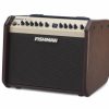 Accessories Fishman Amplifiers | Fishman Loudbox Mini