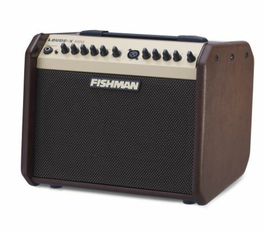 Accessories Fishman Amplifiers | Fishman Loudbox Mini