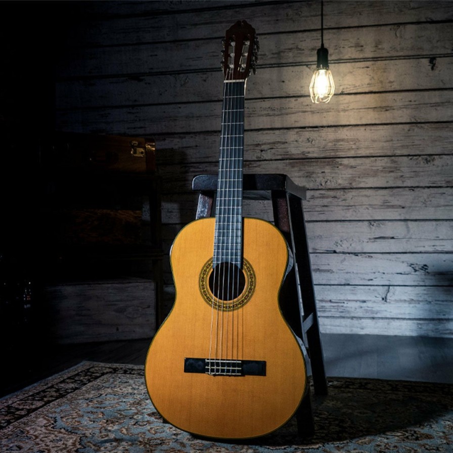 Instruments Washburn Classical Guitars | Washburn C40 Acoustic Classical Guitar