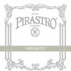 Strings Pirastro G Strings | Pirastro Piranito Viola G String