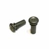 Accessories Stradpet Chinrests & Fittings | Titanium End Button