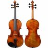 Instruments Holstein Professional Violins | Holstein Workshop Soil Stradivarius Violin