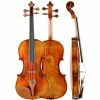 Instruments Holstein Professional Violins | Holstein Premium Bench Kreisler Violin