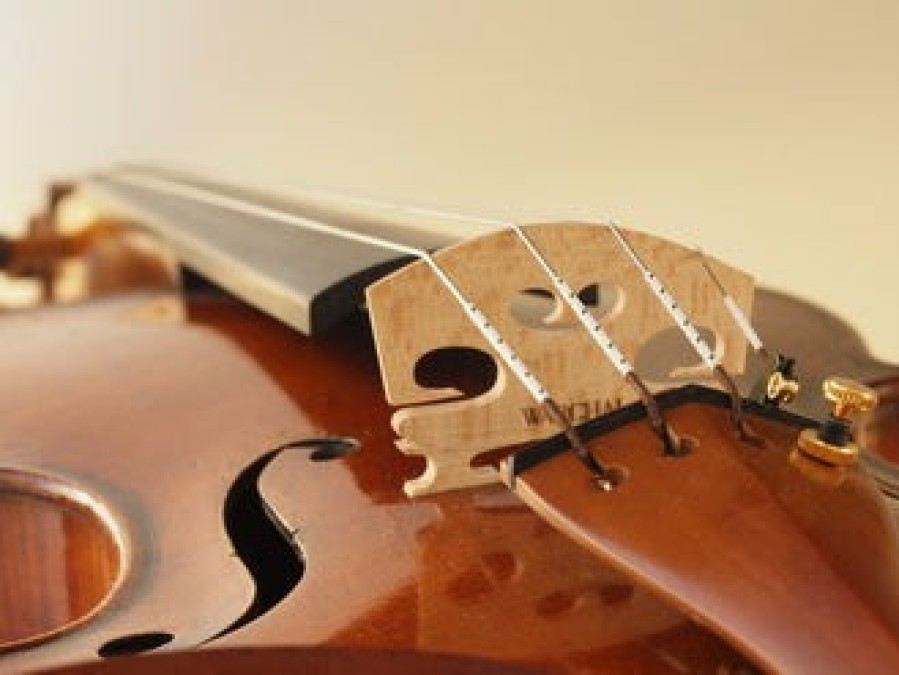 Strings Warchal D Strings | Warchal Amber Violin D String