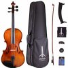 Instruments Tower Strings Beginner Violas | Tower Strings Entertainer Viola Outfit